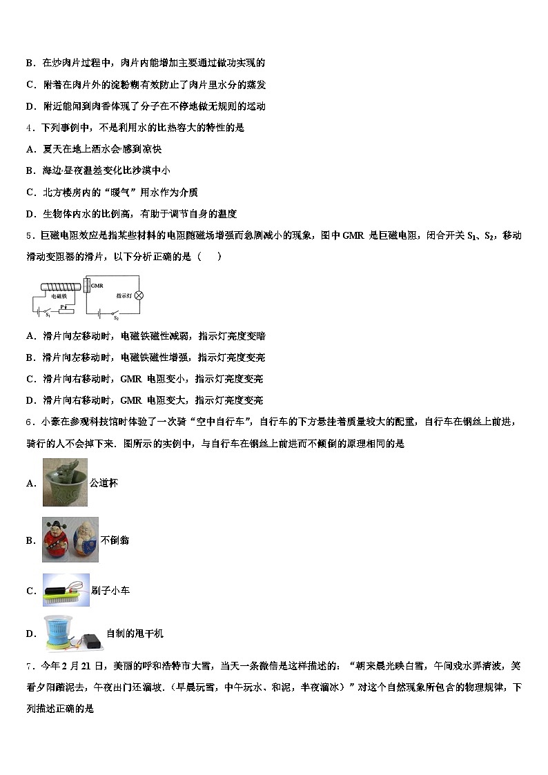 贵州省黔东南苗族侗族自治州2025-2026学年中考物理最后冲刺浓缩精华卷（含答案解析）第2页