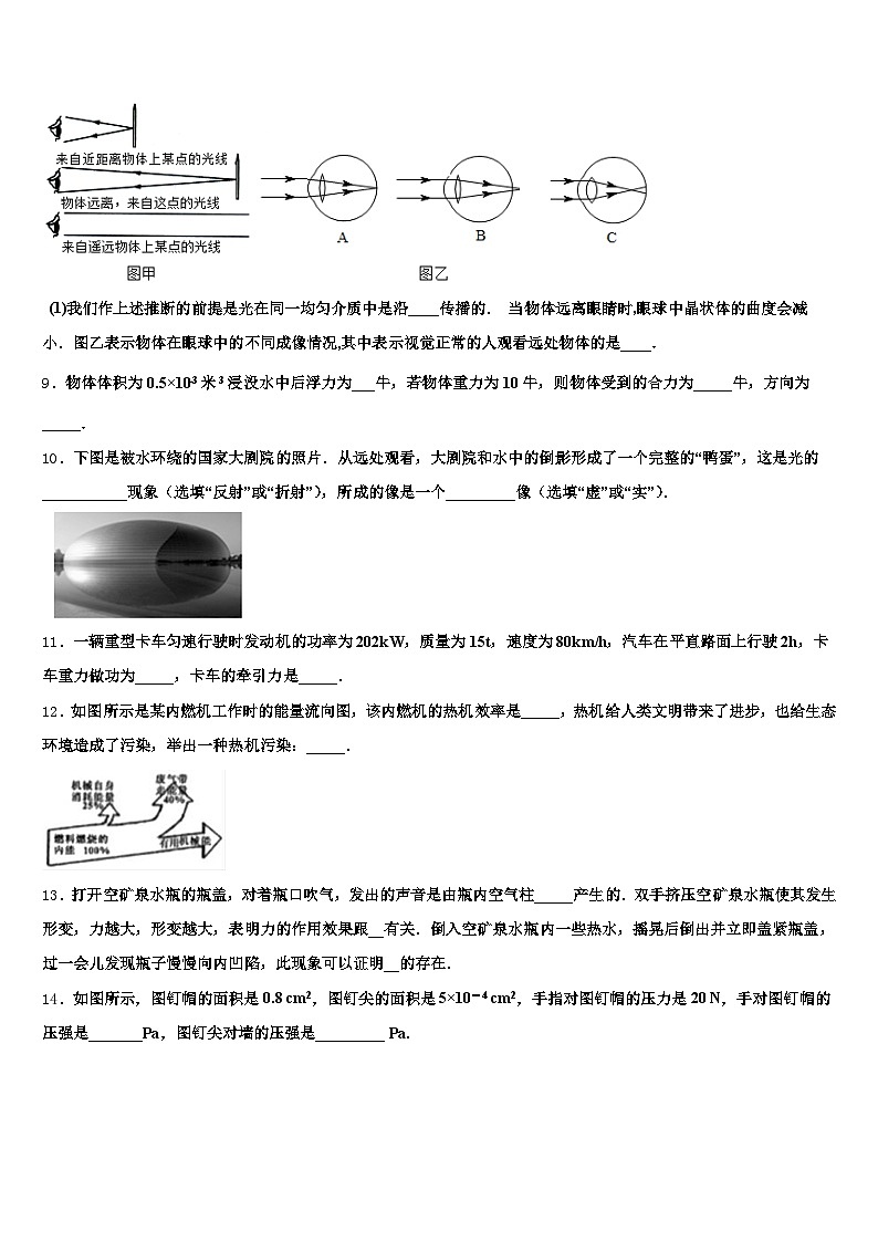 安徽省滁州市2026年中考物理考试模拟冲刺卷（含答案解析）第3页