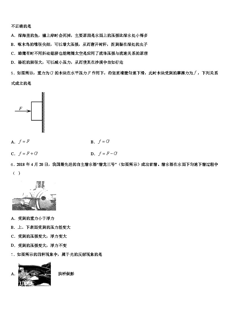 四川省乐山市2026年中考物理四模试卷（含答案解析）第2页