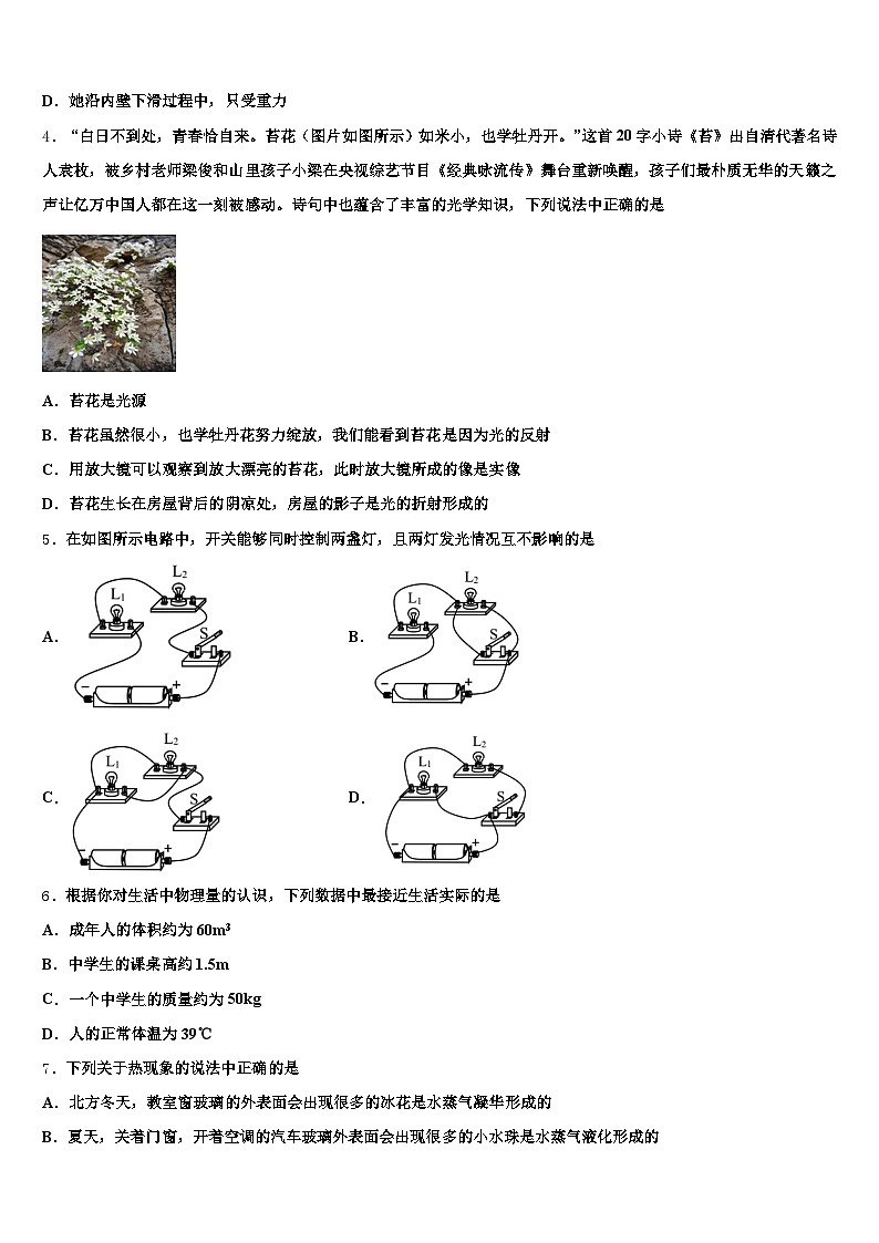 2026届大连市中考物理全真模拟试题（含答案解析）第2页