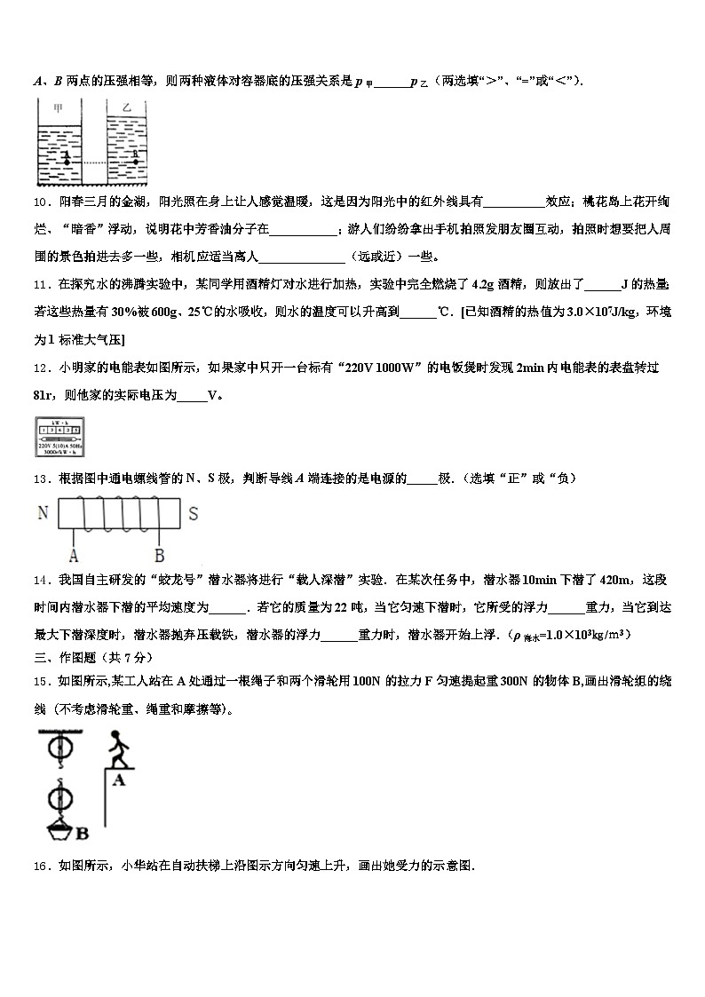 安徽省合肥市2026年中考试题猜想物理试卷（含答案解析）第3页