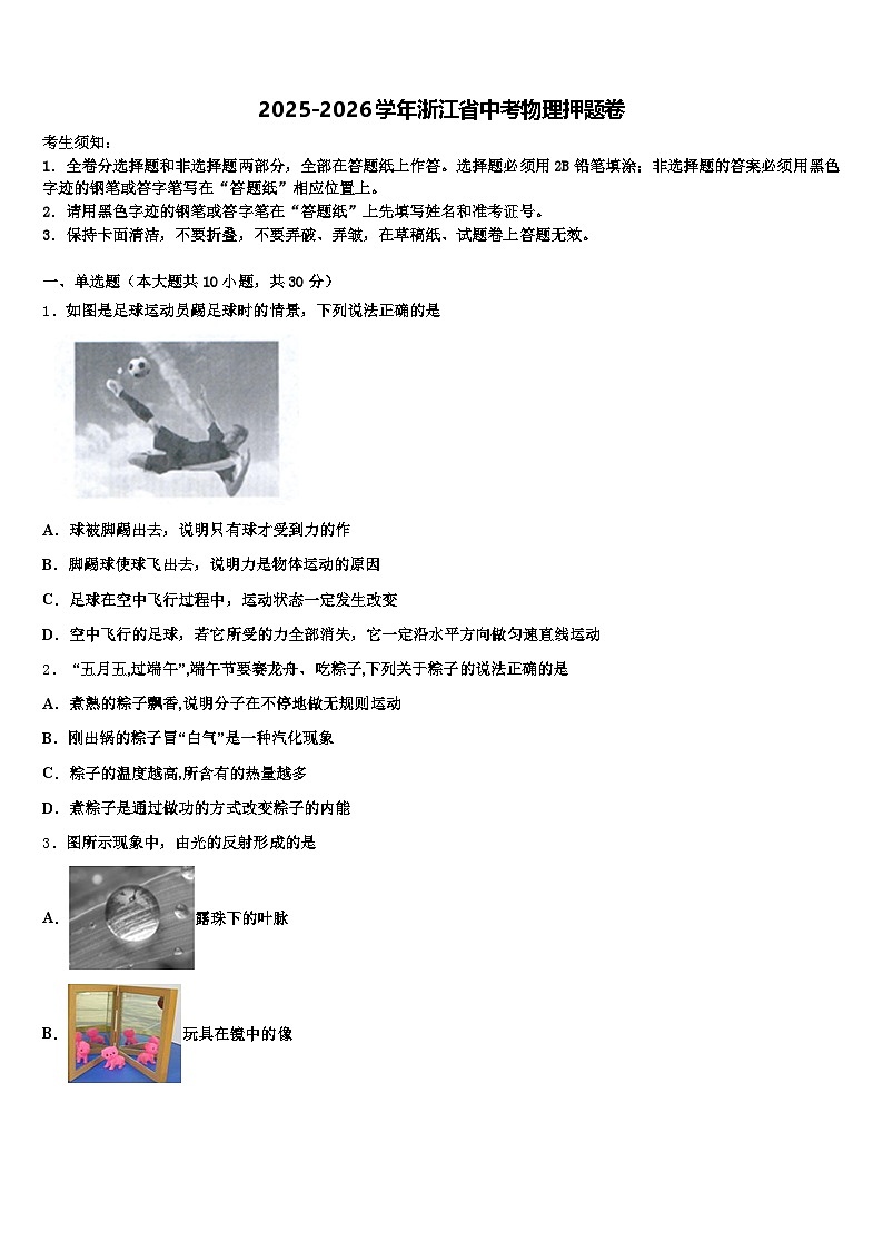 2025-2026学年浙江省中考物理押题卷（含答案解析）第1页