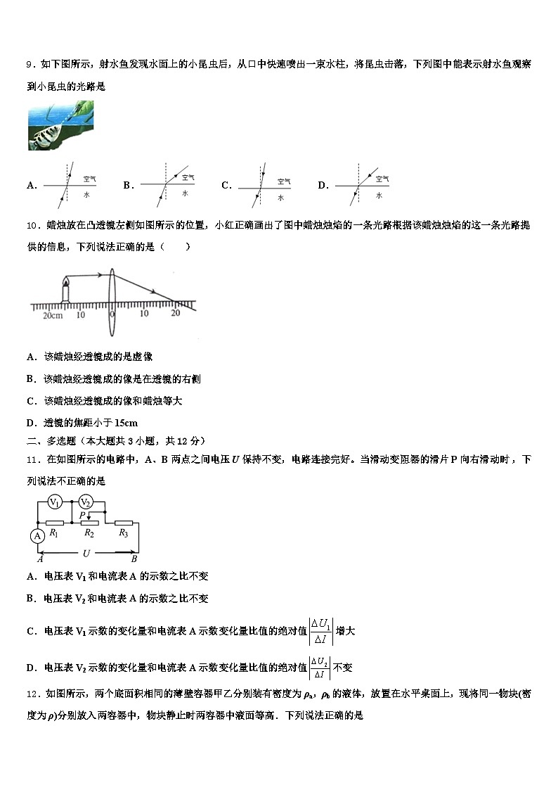 2026年河北省邢台市中考联考物理试题（含答案解析）第3页