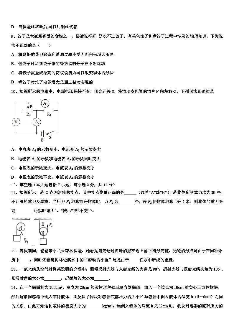 汉中市2026年中考猜题物理试卷（含答案解析）第3页