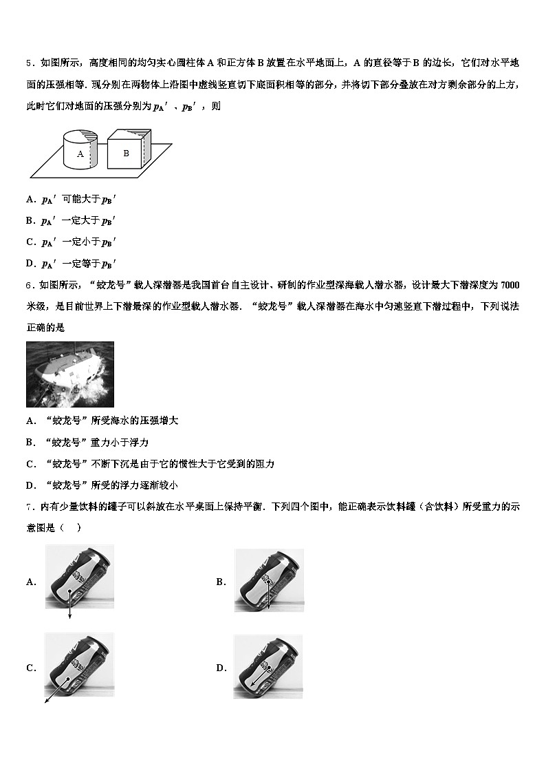 2026届安徽省铜陵市中考试题猜想物理试卷（含答案解析）第2页