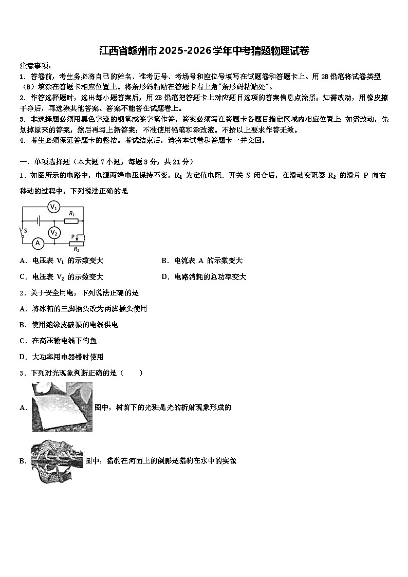 江西省赣州市2025-2026学年中考猜题物理试卷（含答案解析）第1页