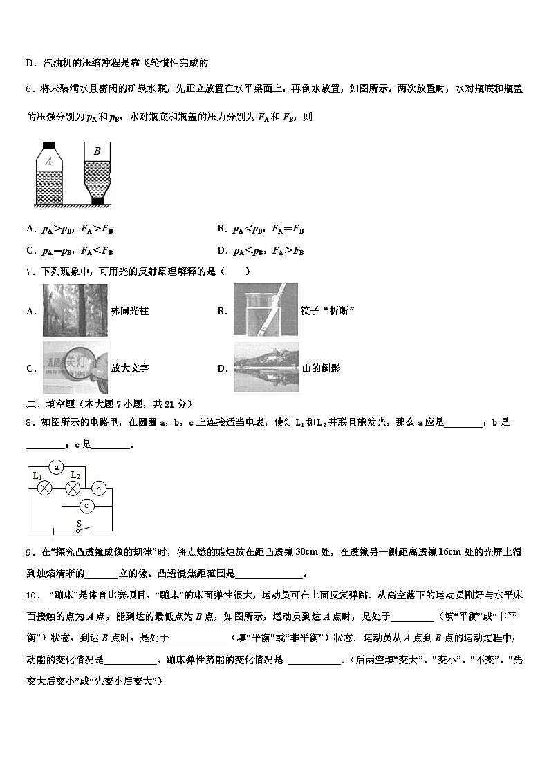 2025-2026学年内江市初中物理毕业考试模拟冲刺卷（含答案解析）第2页