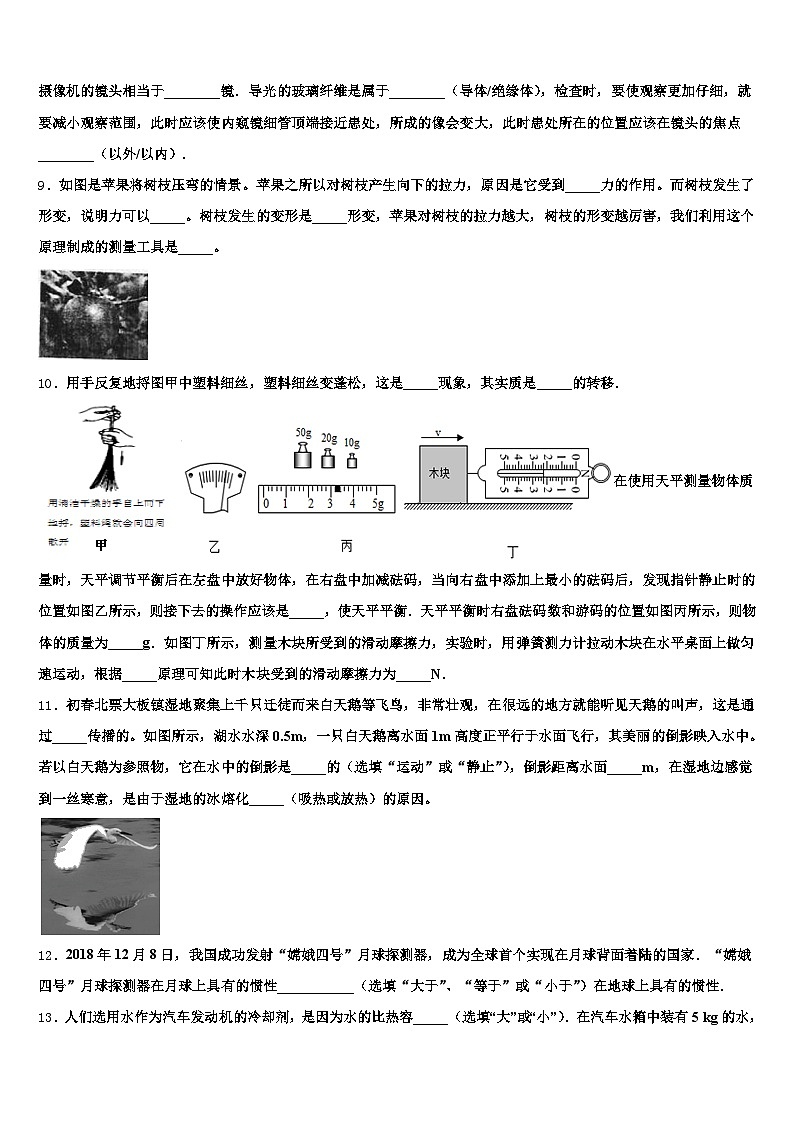 苏州市2025-2026学年中考物理全真模拟试题（含答案解析）第3页