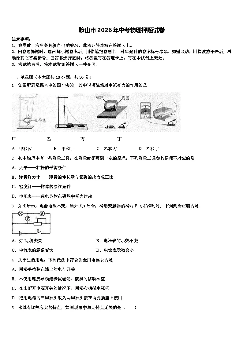 鞍山市2026年中考物理押题试卷（含答案解析）第1页