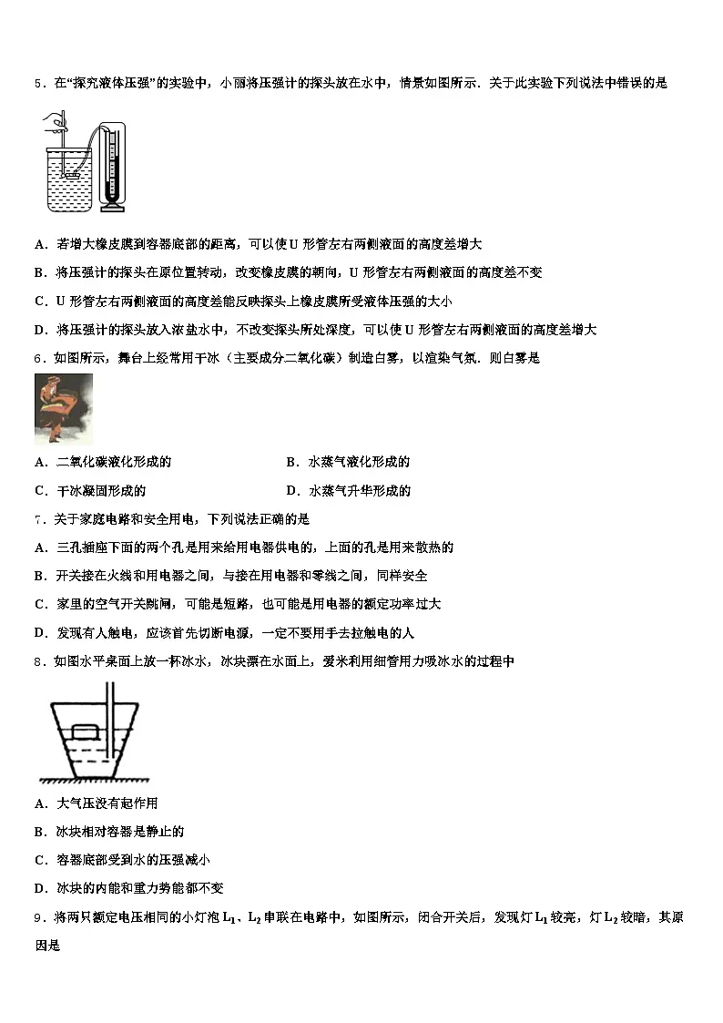 南充市2025-2026学年中考物理模试卷（含答案解析）第2页