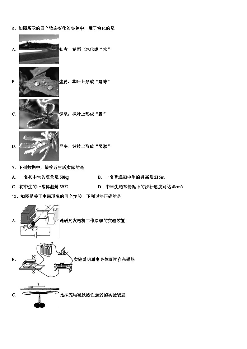 2026届新疆维吾尔自治区克孜勒苏柯尔克孜自治州中考四模物理试题（含答案解析）第3页