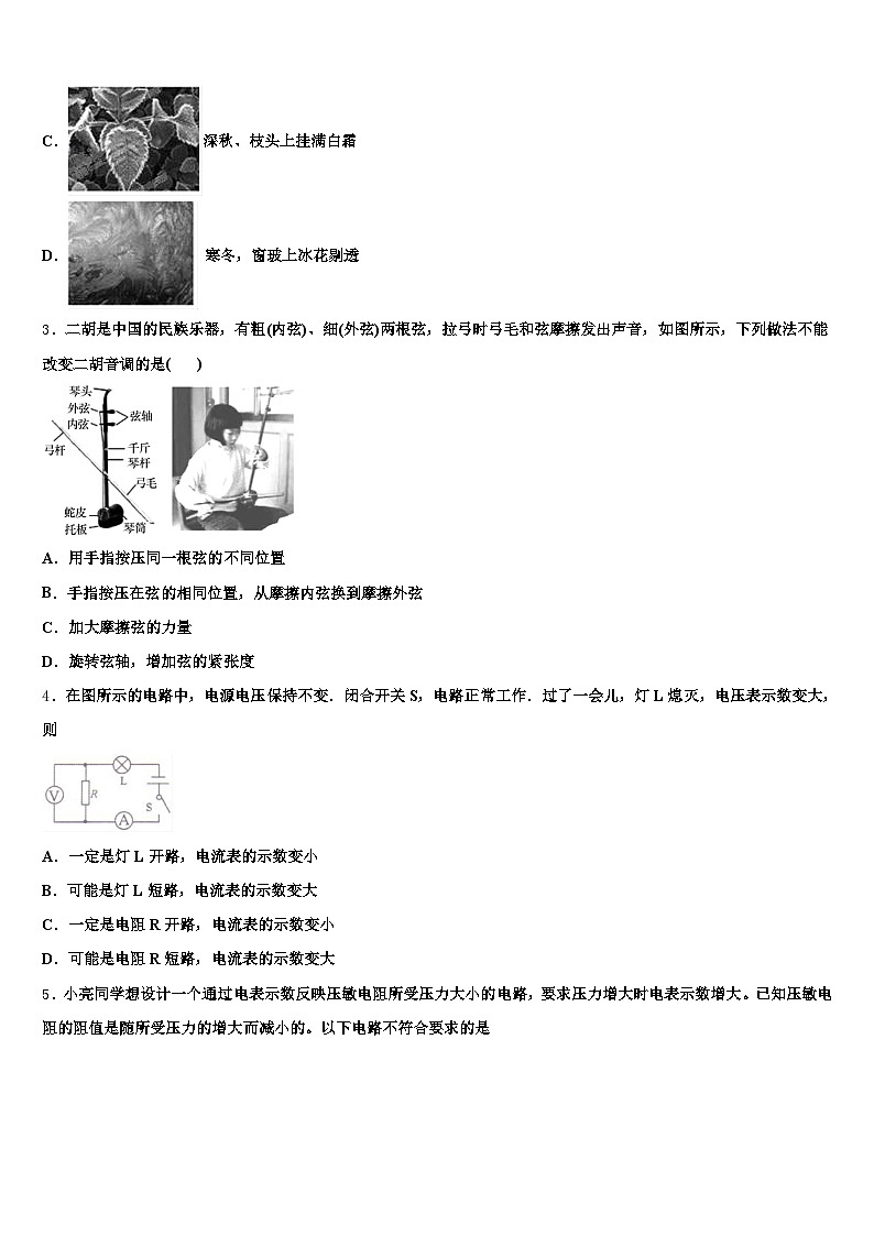 青海省海北藏族自治州2025-2026学年中考试题猜想物理试卷（含答案解析）第2页