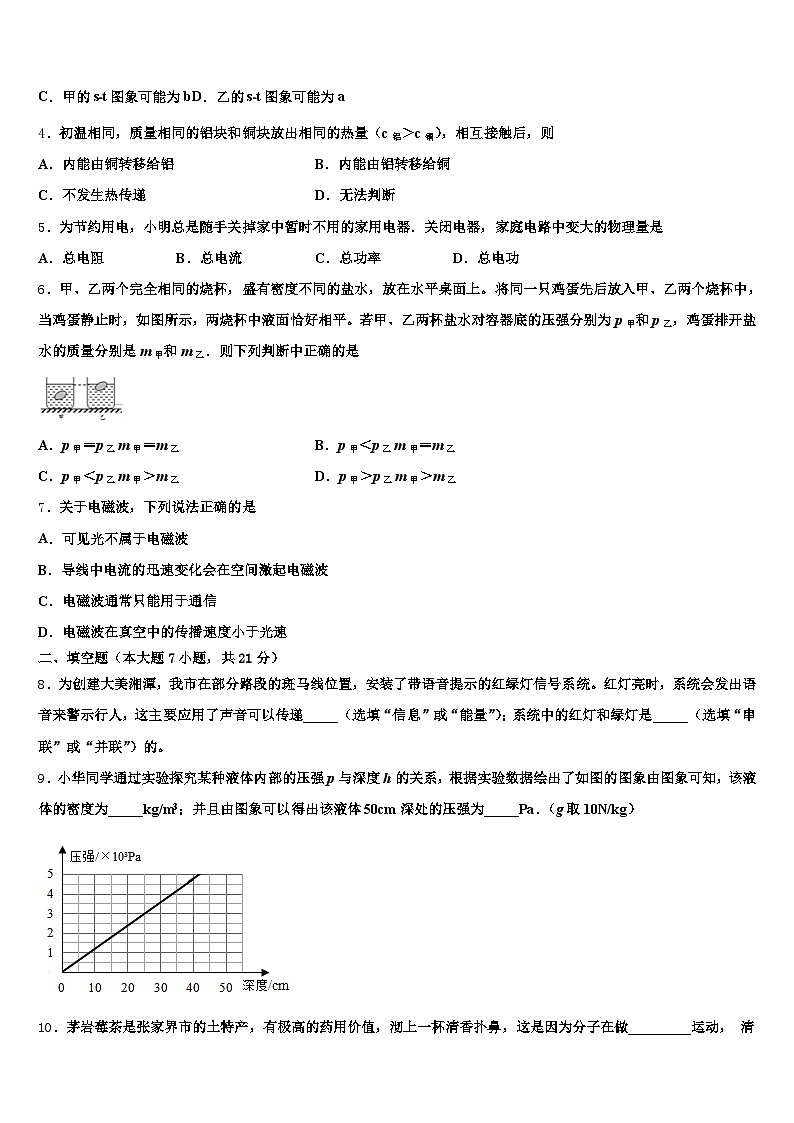 四川省巴中市2026年中考物理最后冲刺模拟试卷（含答案解析）第2页
