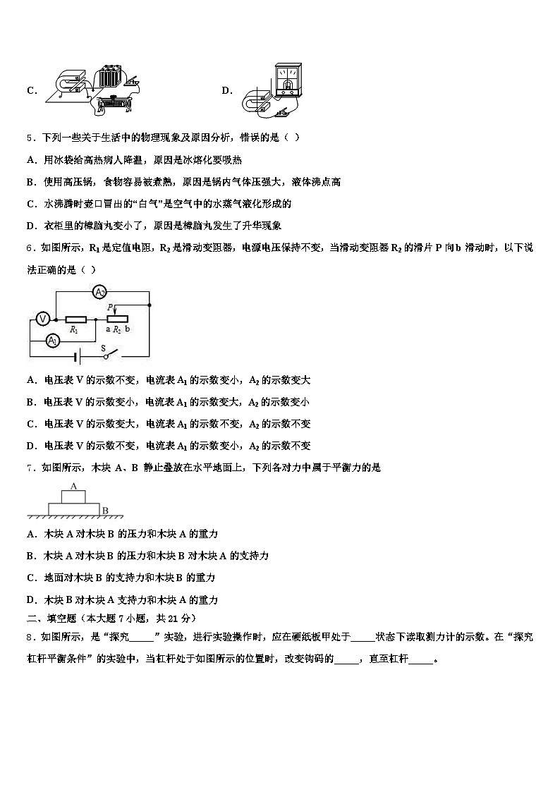 2025-2026学年湖北省荆州市中考押题物理预测卷（含答案解析）第2页