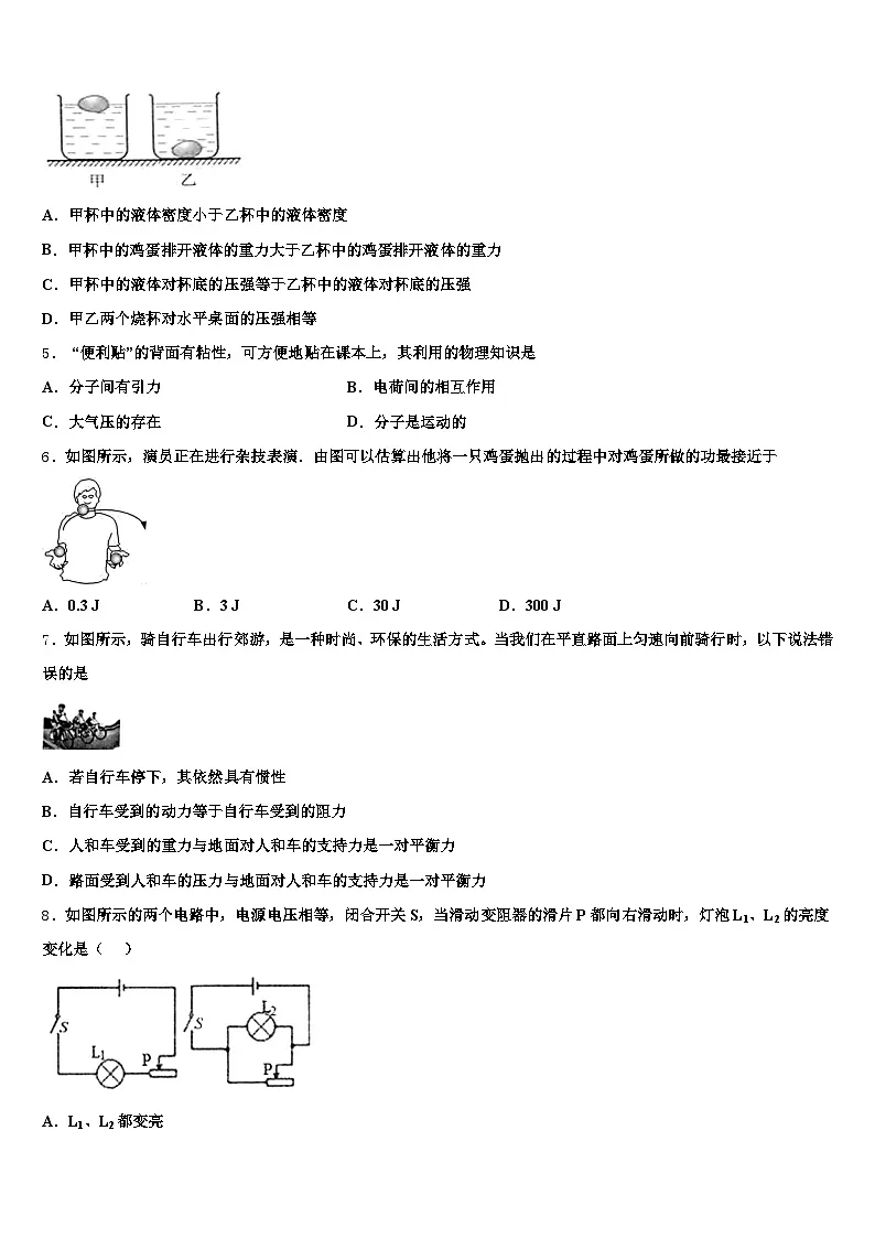 池州市2026年中考物理全真模拟试题（含答案解析）第2页