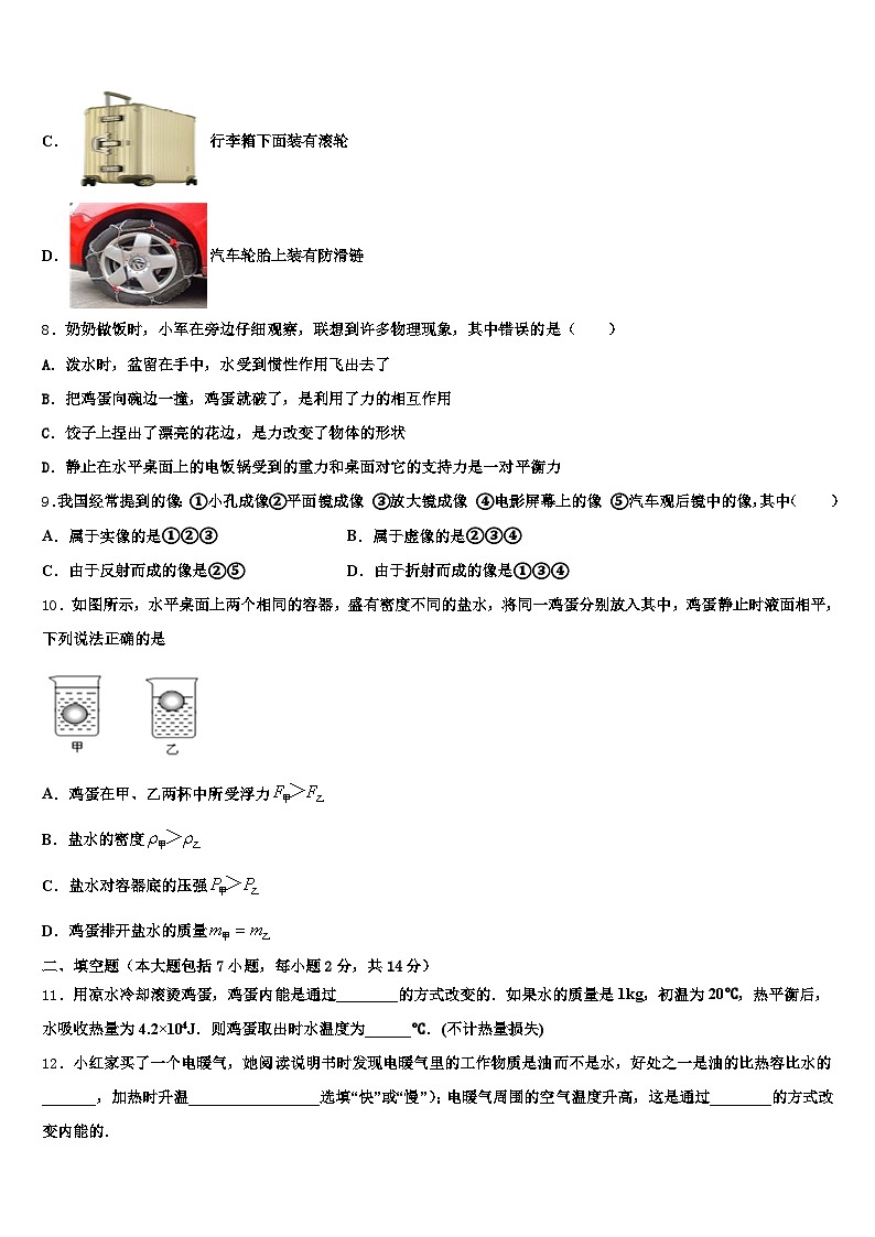 河北省廊坊市2026年中考物理模拟精编试卷（含答案解析）第3页