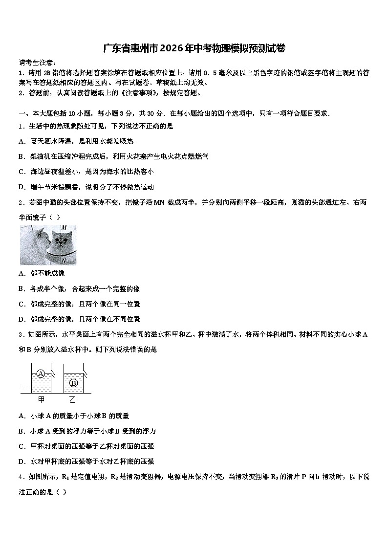 广东省惠州市2026年中考物理模拟预测试卷（含答案解析）第1页