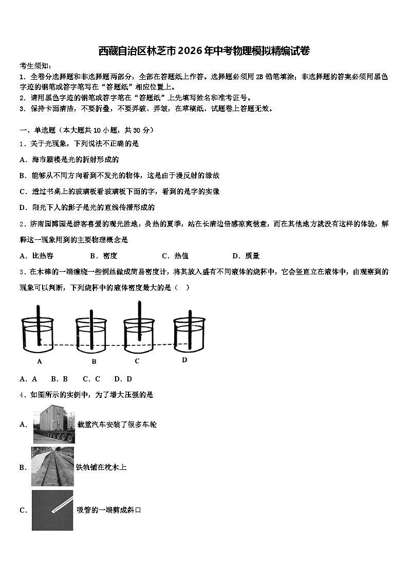 西藏自治区林芝市2026年中考物理模拟精编试卷（含答案解析）第1页