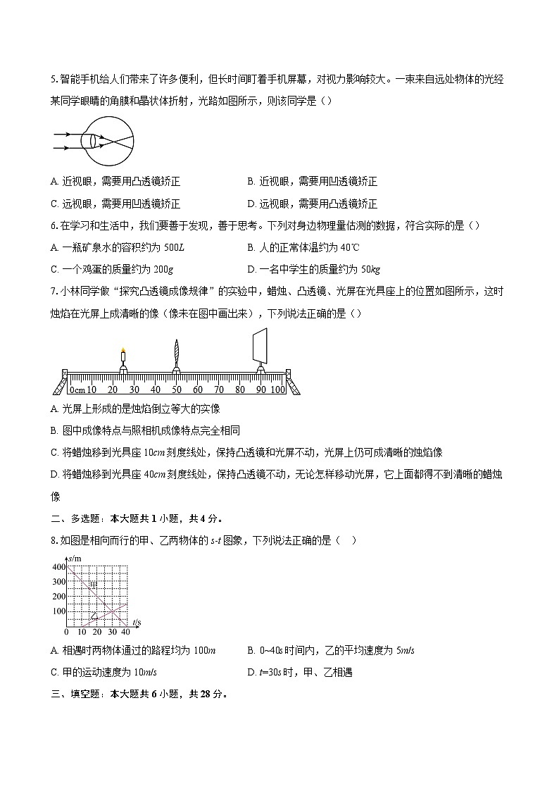 河南周口市沈丘县2025-2026学年上学期期末考试八年级物理试卷-自定义类型第2页