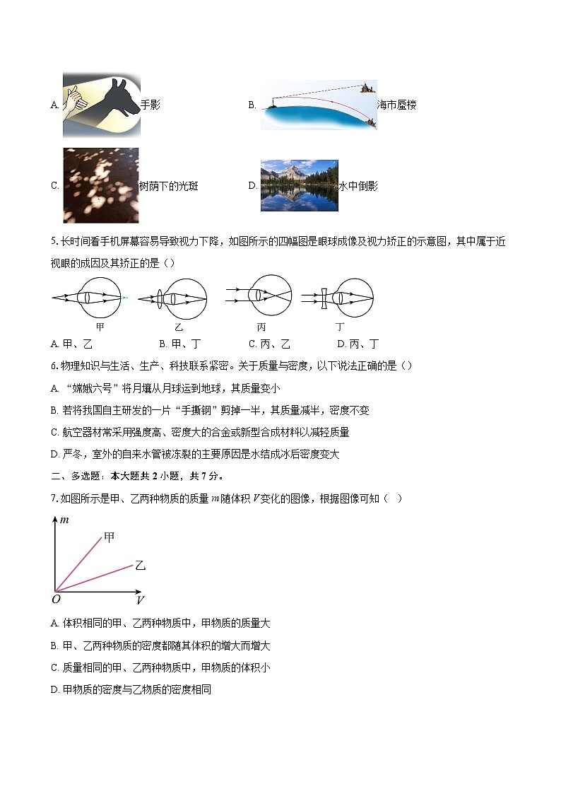 河南省平顶山市鲁山县2025-2026学年八年级上学期2月期末物理试题-自定义类型第2页