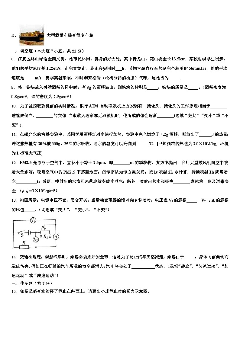 2026届四川省雅安市中考冲刺卷物理试题（含答案解析）第3页