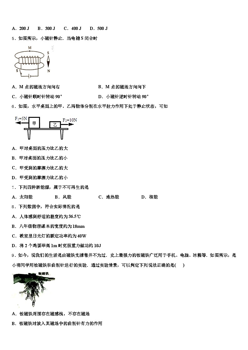 2025-2026学年梅州市中考猜题物理试卷（含答案解析）第2页