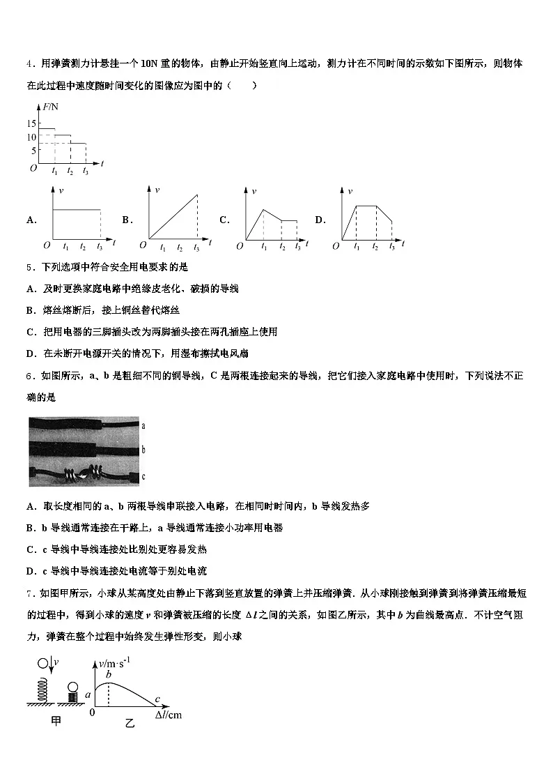 2025-2026学年临沧市中考三模物理试题（含答案解析）第2页