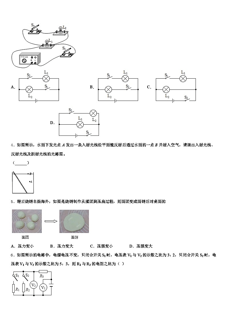 云南省丽江市2025-2026学年中考物理猜题卷（含答案解析）第2页