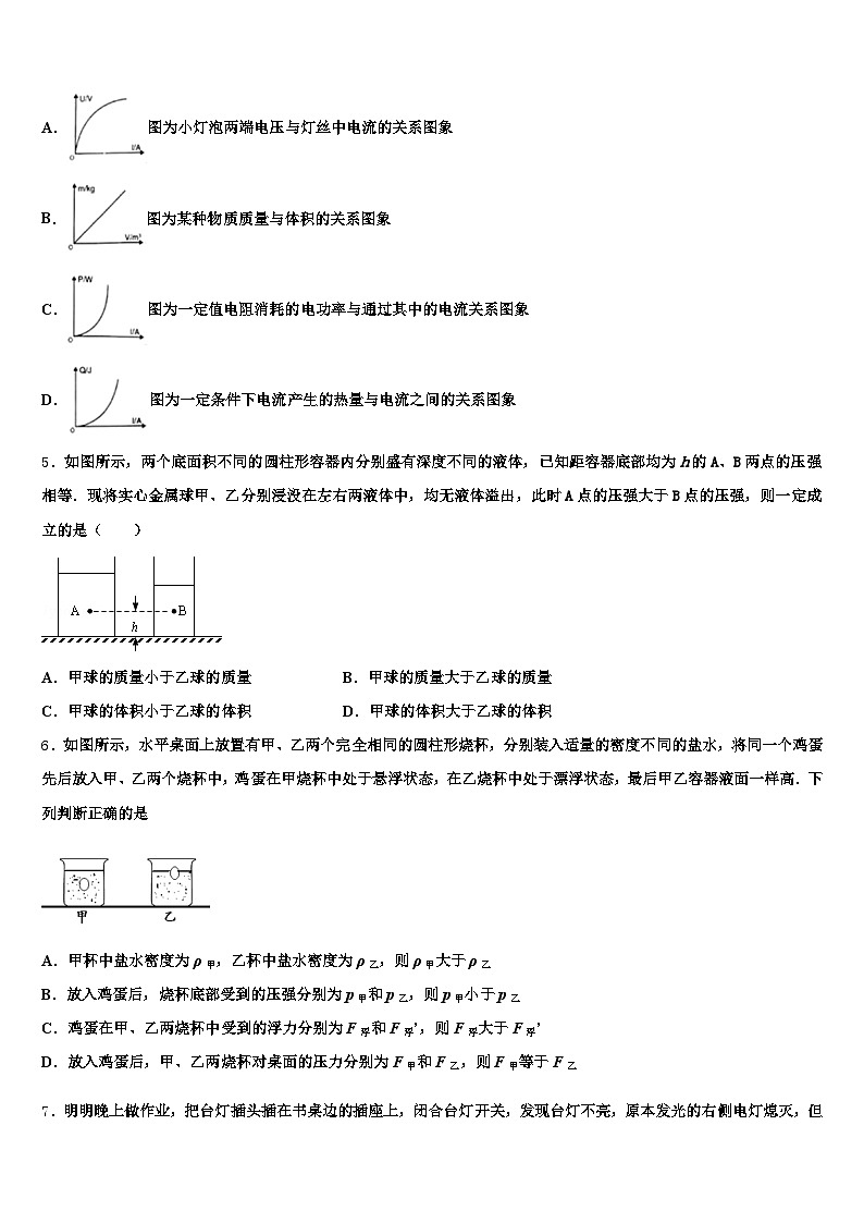 2025-2026学年海南省三亚市中考物理四模试卷（含答案解析）第2页