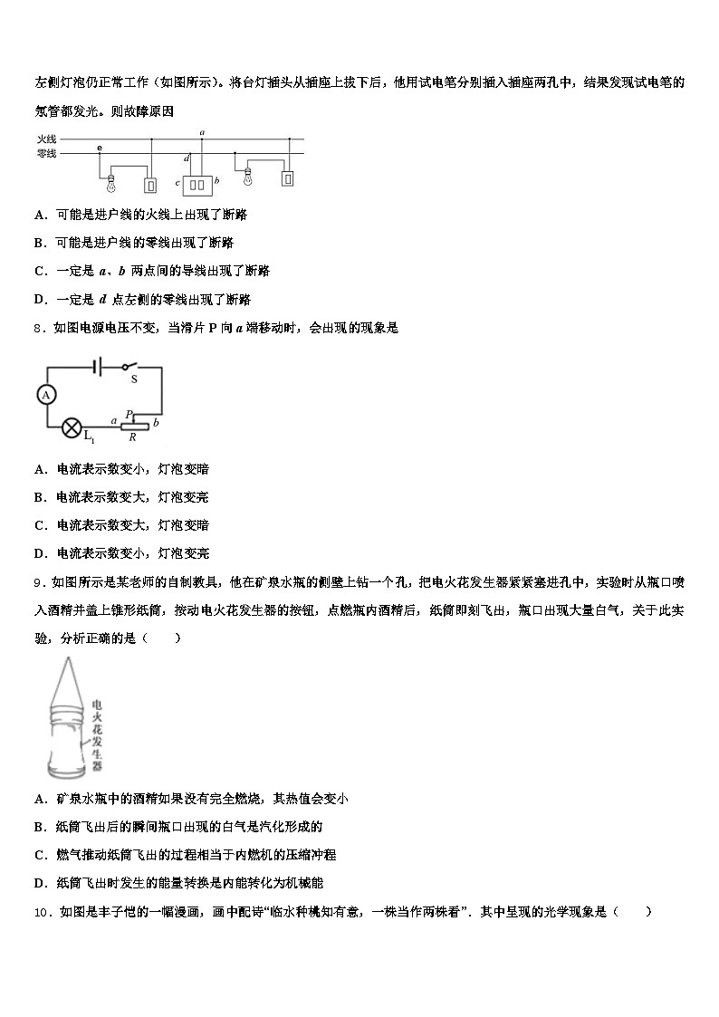 2025-2026学年海南省三亚市中考物理四模试卷（含答案解析）第3页