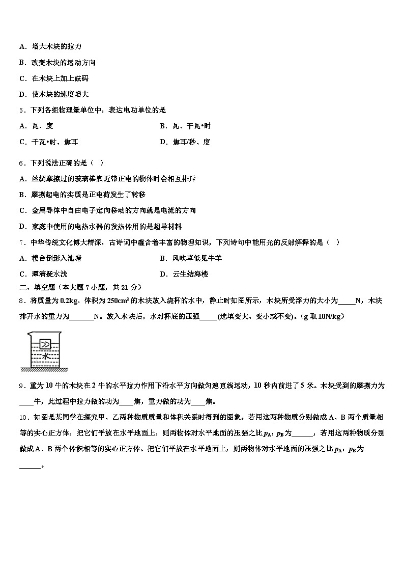 2025-2026学年甘肃省陇南市中考考前最后一卷物理试卷（含答案解析）第2页