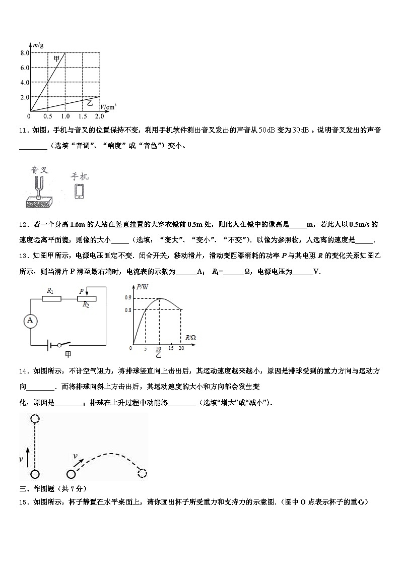 2025-2026学年甘肃省陇南市中考考前最后一卷物理试卷（含答案解析）第3页