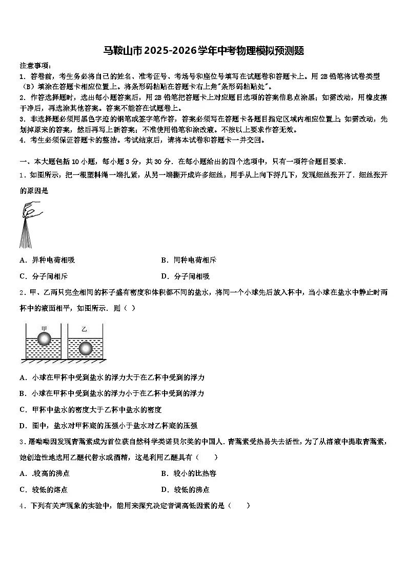 马鞍山市2025-2026学年中考物理模拟预测题（含答案解析）第1页