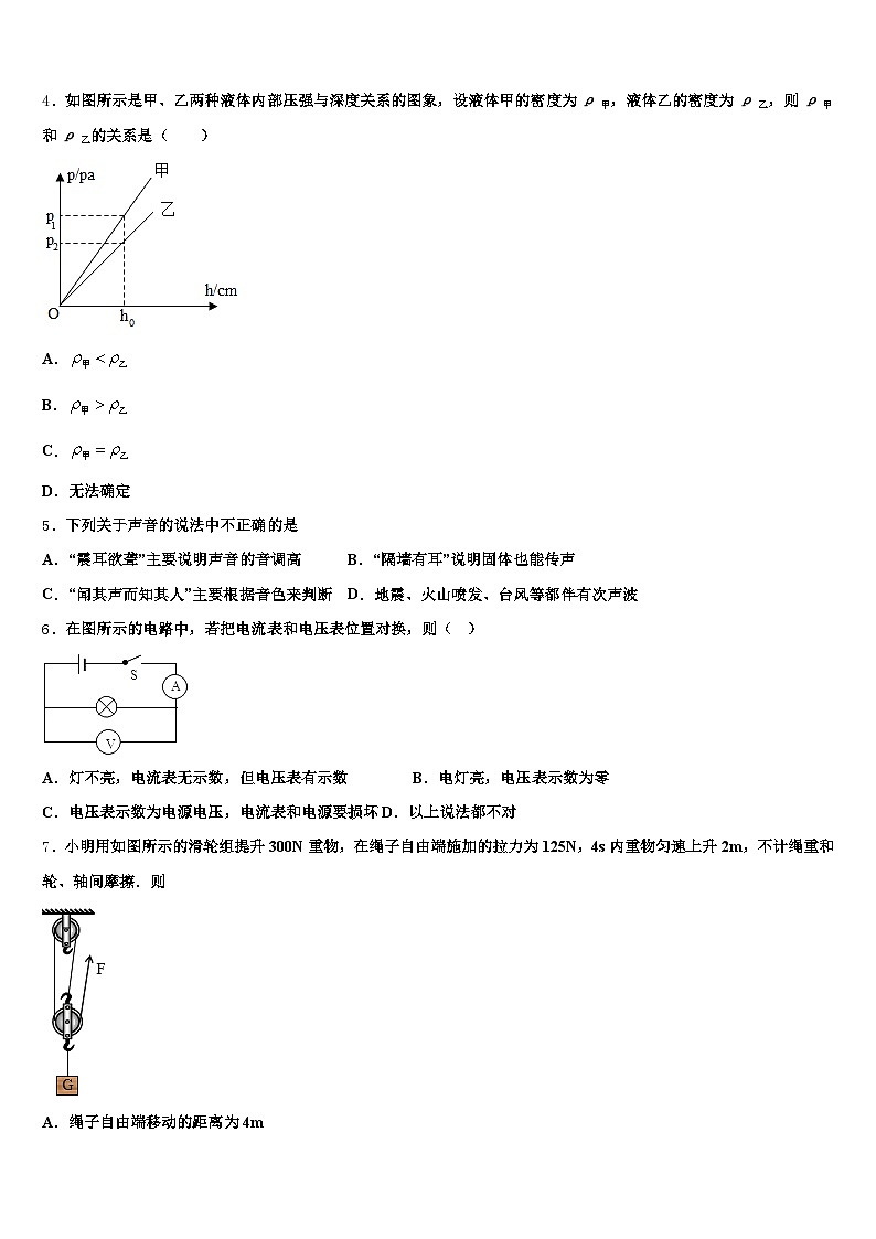 湖南省怀化市2025-2026学年中考物理猜题卷（含答案解析）第2页
