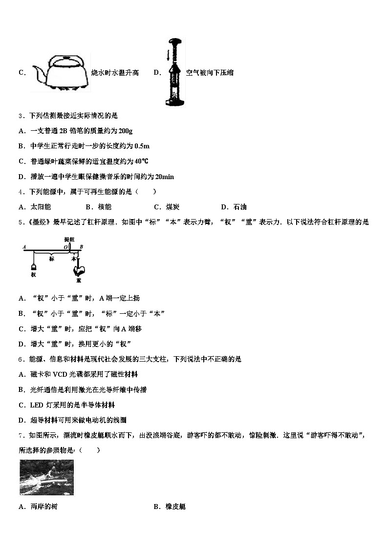 2026届合肥市中考物理押题试卷（含答案解析）第2页