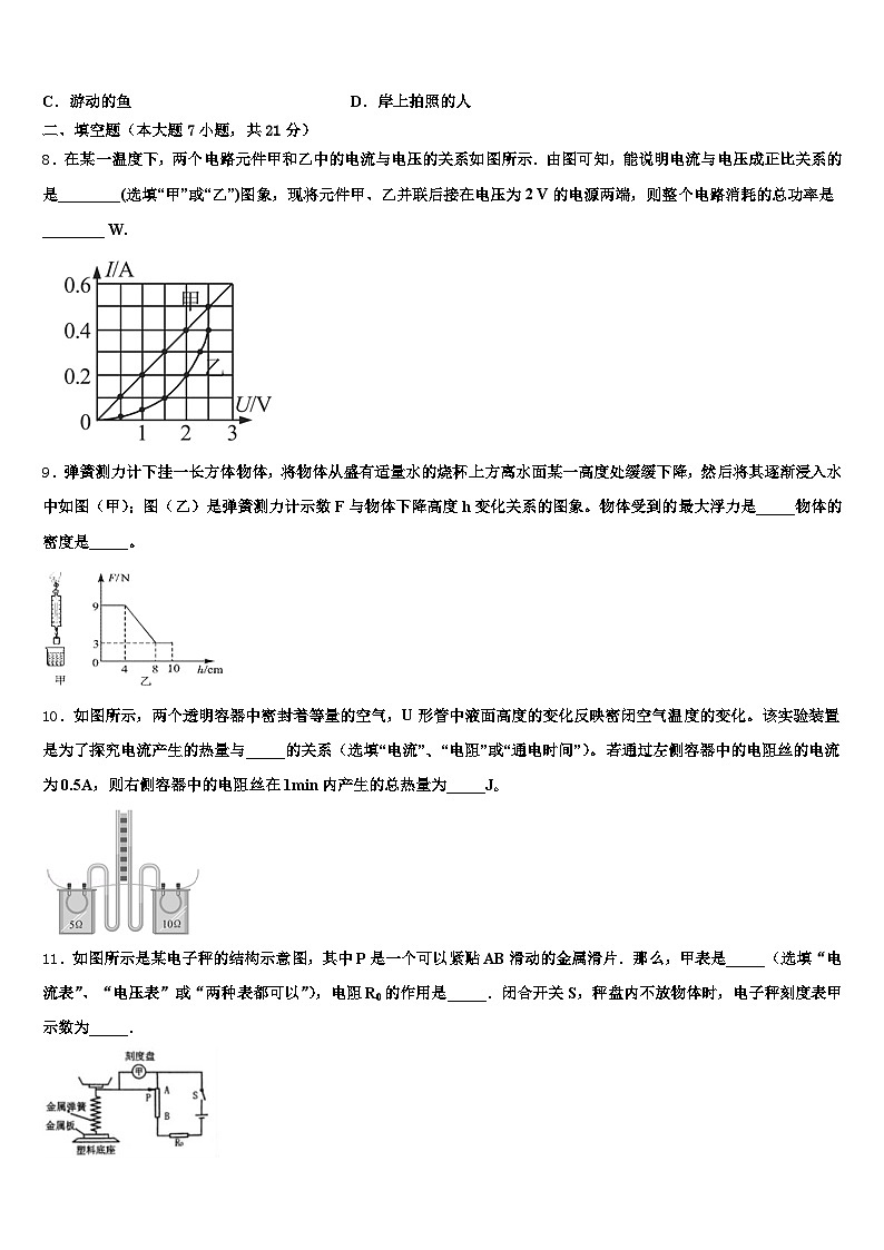 2026届合肥市中考物理押题试卷（含答案解析）第3页