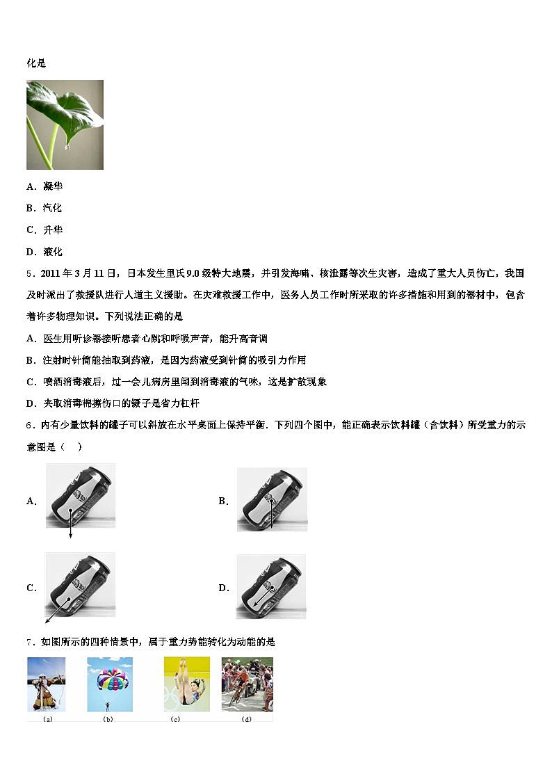 2026届保山市中考物理适应性模拟试题（含答案解析）第2页