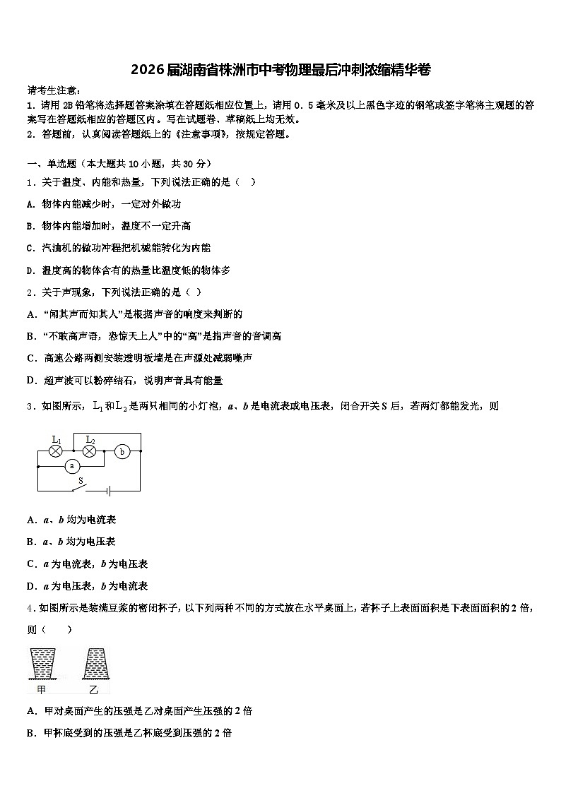 2026届湖南省株洲市中考物理最后冲刺浓缩精华卷（含答案解析）第1页