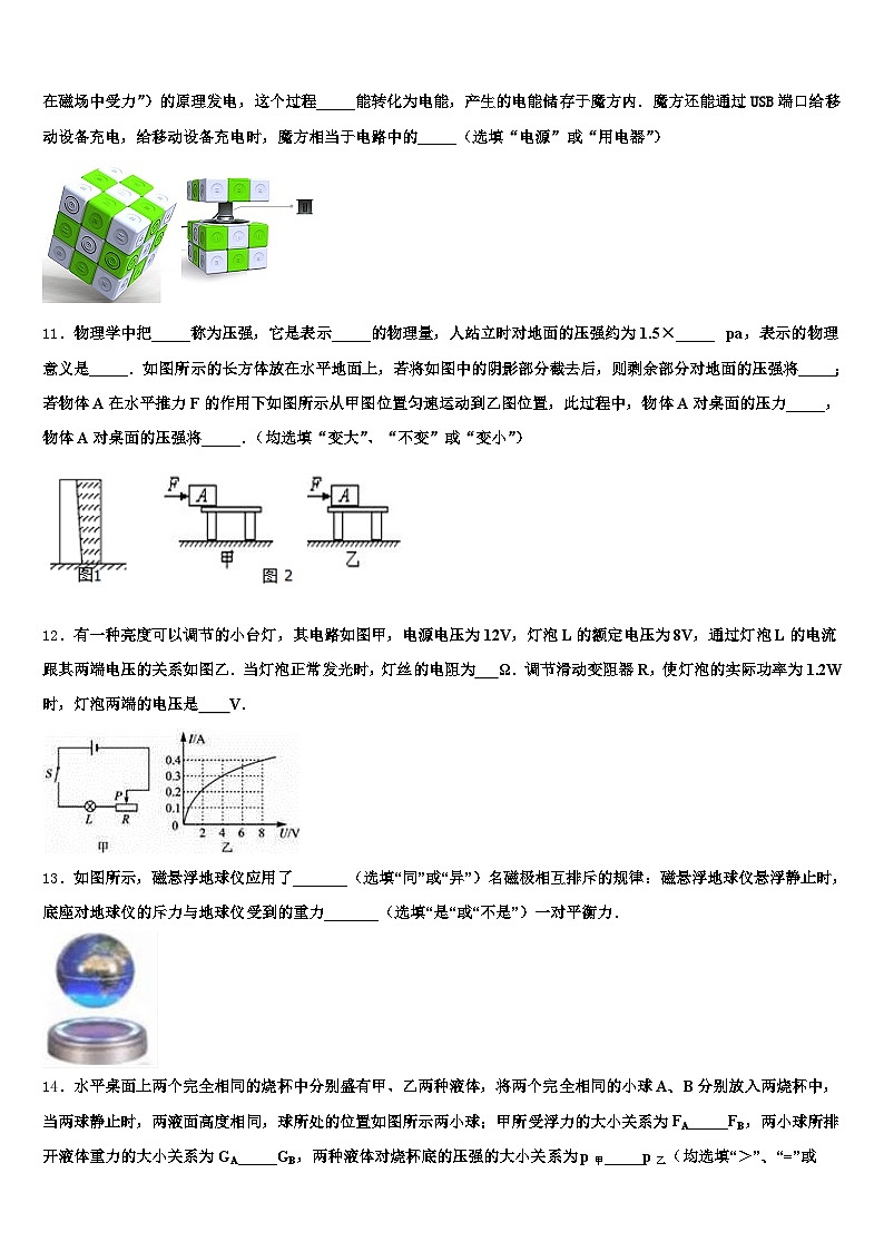 2025-2026学年广西壮族自治区贵港市中考四模物理试题（含答案解析）第3页