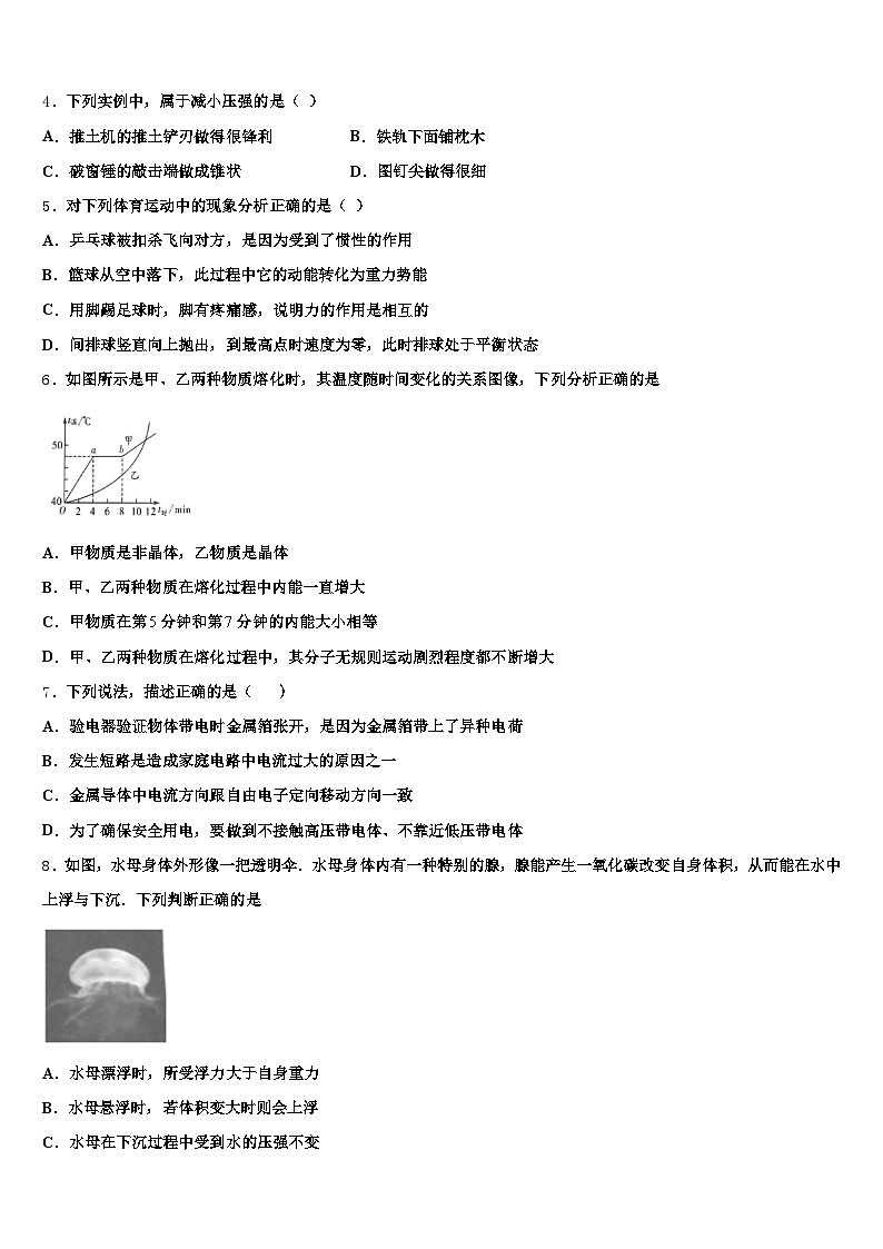 益阳市2026年中考物理猜题卷（含答案解析）第2页