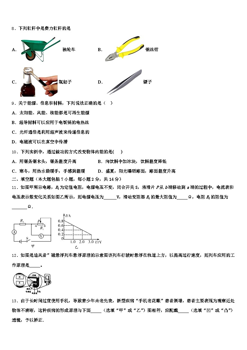 山东省青岛市2025-2026学年中考物理四模试卷（含答案解析）第3页