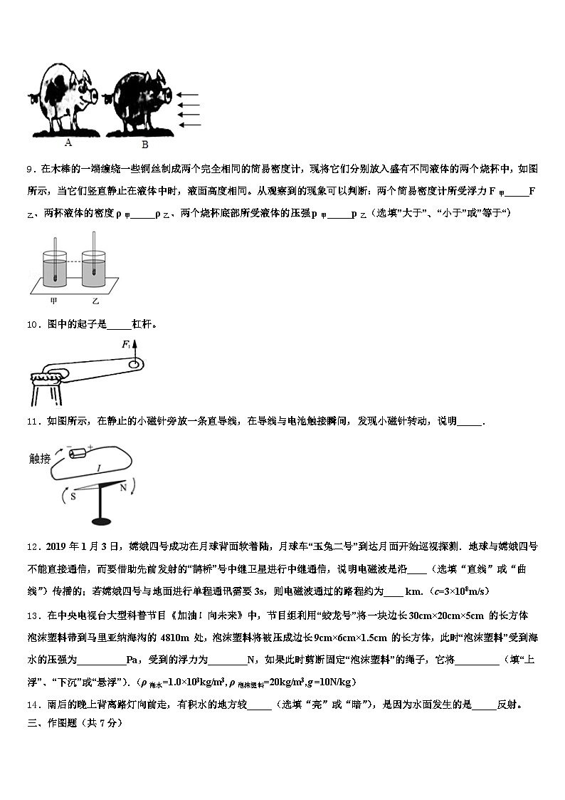 2025-2026学年马鞍山市中考物理模拟试题（含答案解析）第3页
