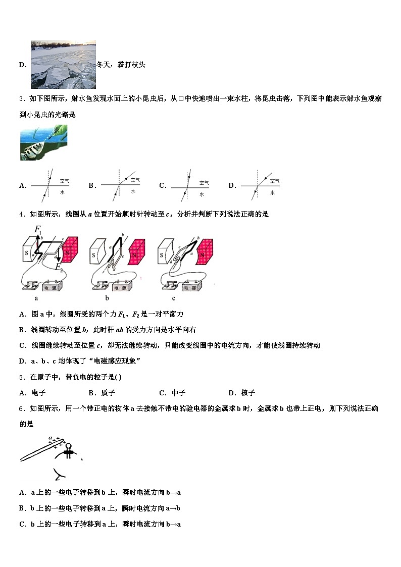 2025-2026学年聊城市中考物理押题试卷（含答案解析）第2页