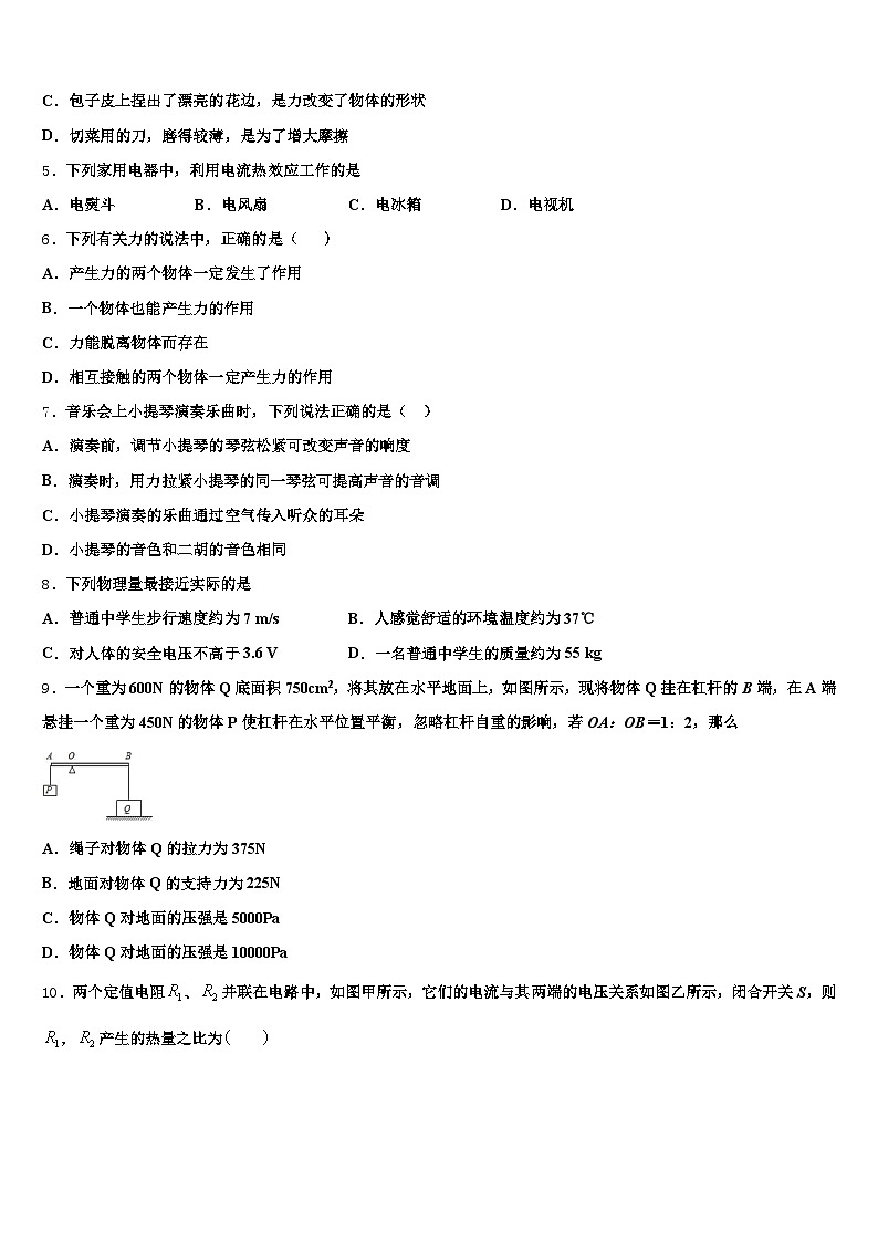 2026届江苏省常州市中考物理模拟预测题（含答案解析）第2页