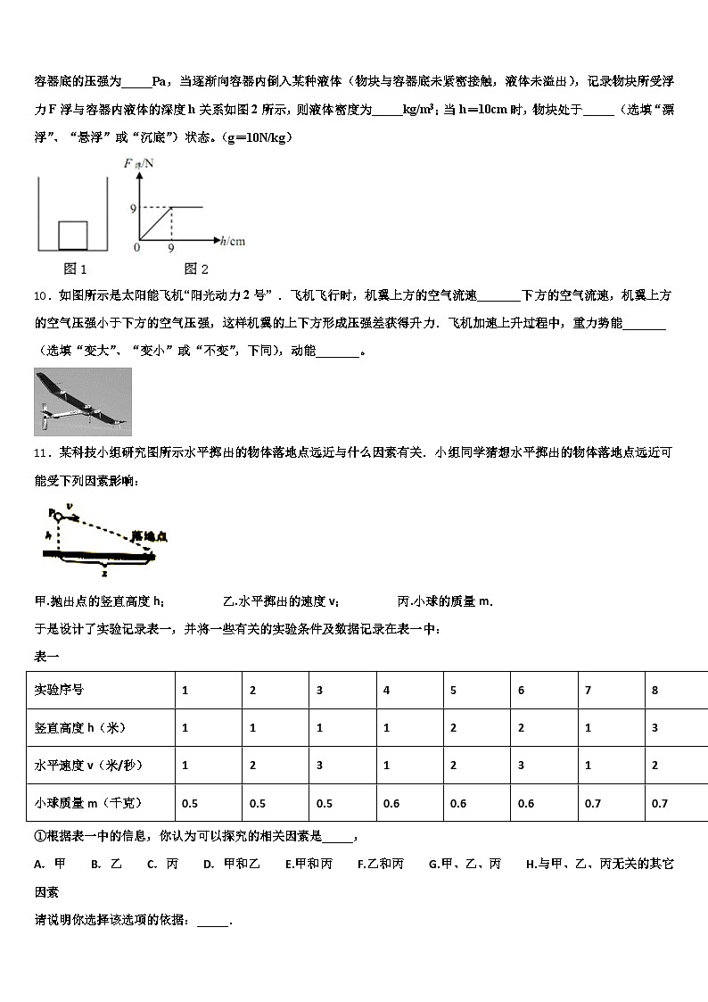 四川省内江市2025-2026学年初中物理毕业考试模拟冲刺卷（含答案解析）第3页