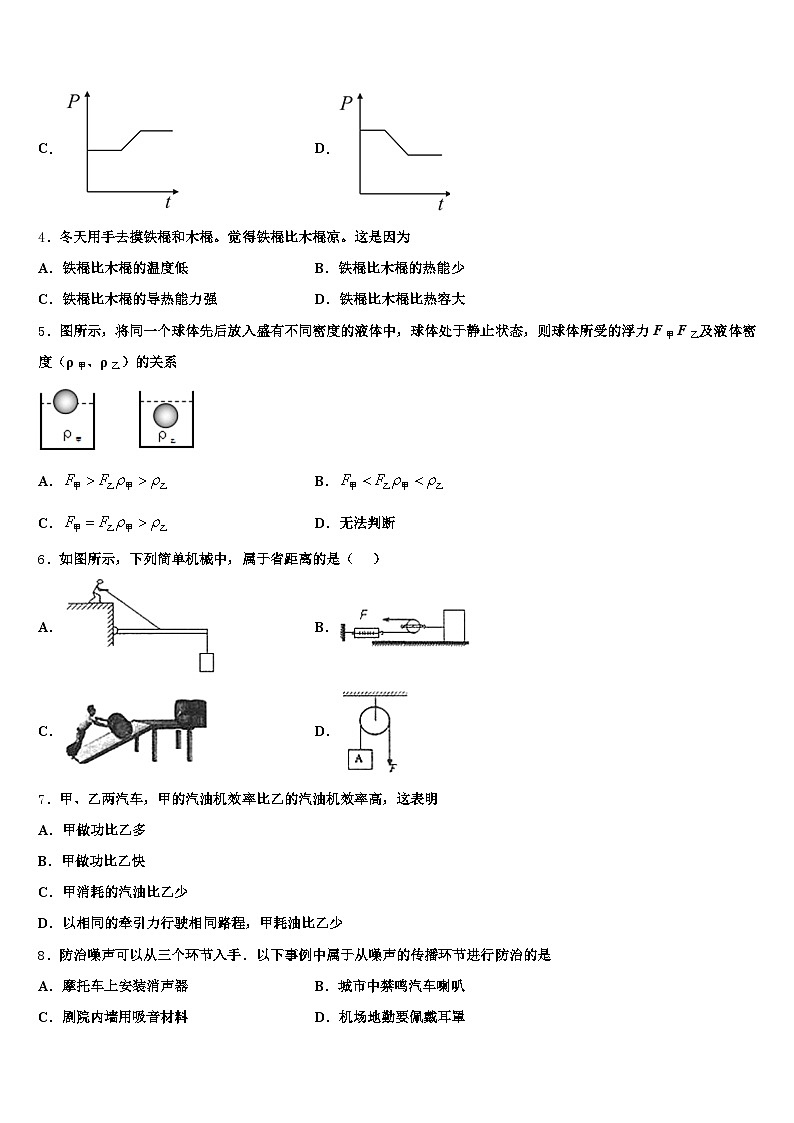 厦门市2026年中考适应性考试物理试题（含答案解析）第2页