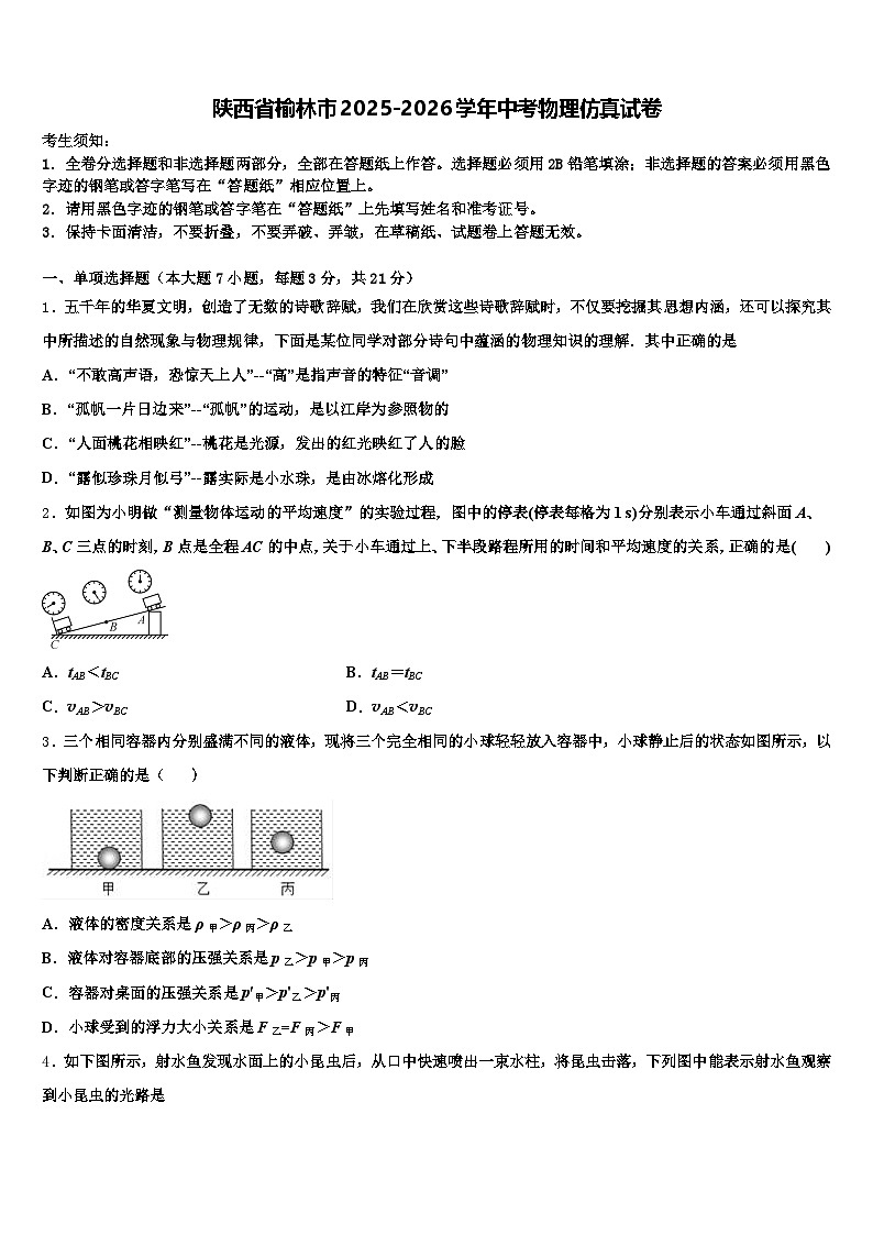 陕西省榆林市2025-2026学年中考物理仿真试卷（含答案解析）第1页