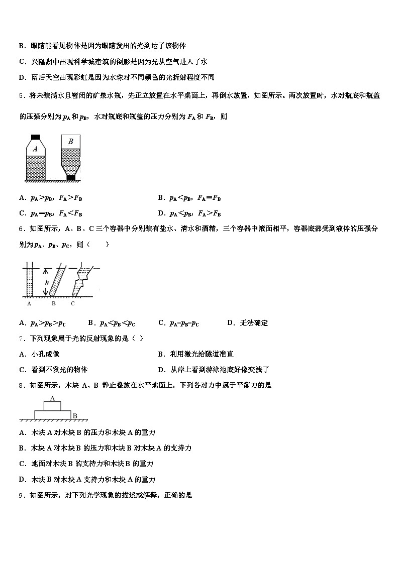 洛阳市2025-2026学年中考物理押题卷（含答案解析）第2页