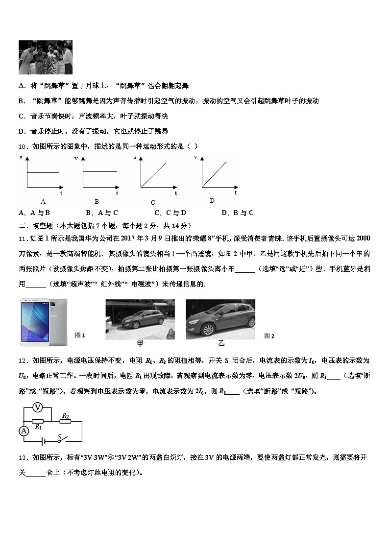 河北省承德市2026年中考冲刺卷物理试题（含答案解析）第3页