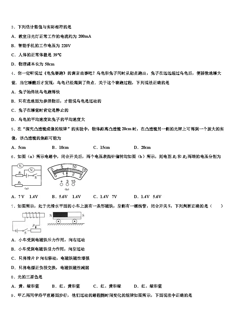 2025-2026学年泰安市中考适应性考试物理试题（含答案解析）第2页